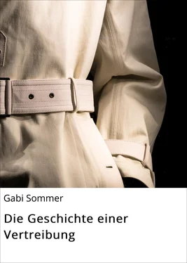 Gabi Sommer Die Geschichte einer Vertreibung обложка книги