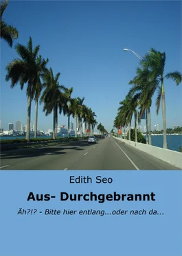 Edith Seo Aus-/ Durchgebrannt обложка книги