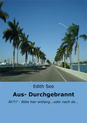 Edith Seo - Aus-/ Durchgebrannt