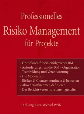 Lutz-Michael Weiß Professionelles Risiko Management für Projekte обложка книги