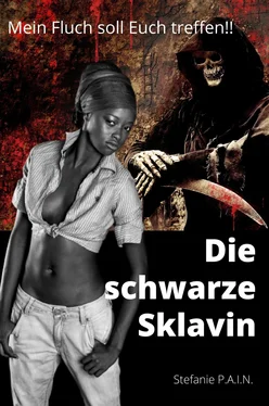 Stefanie P.A.I.N Die schwarze Sklavin обложка книги