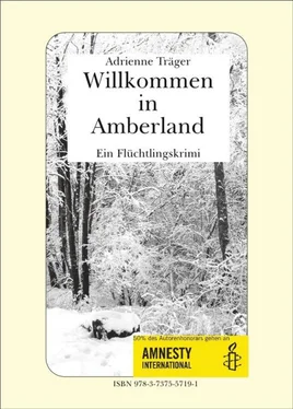 Adrienne Träger Willkommen in Amberland обложка книги