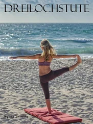 Agnes Trauner - Dreilochstute