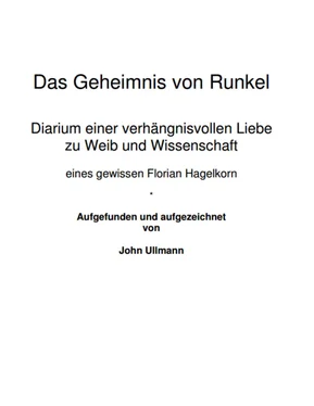 John Ullmann Das Geheimnis von Runkel обложка книги