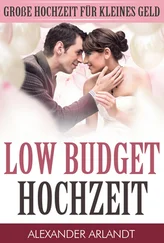 Alexander Arlandt - LOW BUDGET HOCHZEIT