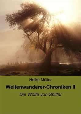 Heike Möller Weltenwanderer-Chroniken II обложка книги