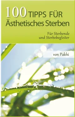 Pakhi E. Powels 100 Tipps für Ästhetisches Sterben обложка книги