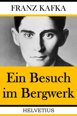 Franz Kafka Ein Besuch im Bergwerk обложка книги