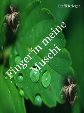 Steffi Krieger Finger in meine Muschi - 156 Seiten обложка книги