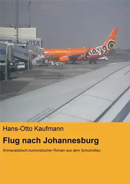 Hans-Otto Kaufmann Flug nach Johannesburg обложка книги