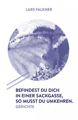 Lars Falkner - Befindest du dich in einer Sackgasse, so musst du umkehren.