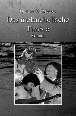 Dietmar H. Melzer Das melancholische Timbre обложка книги