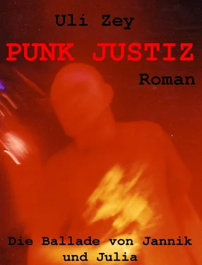 Uli Zey Punk Justiz обложка книги