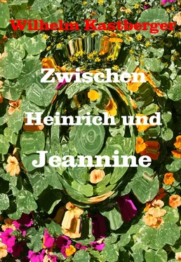 Wilhelm Kastberger Zwischen Heinrich und Jeanniene обложка книги