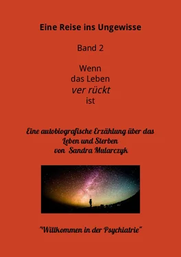 Sandra Mularczyk Willkommen in der Psychiatrie- Eine Reise ins Ungewisse обложка книги