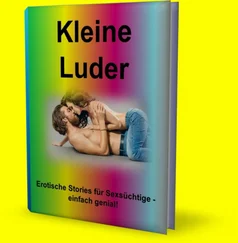 Nicki Stauder - Kleine Luder - 100 Seiten