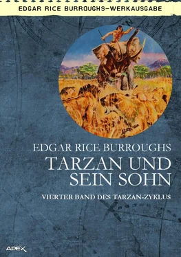 Edgar Burroughs TARZAN UND SEIN SOHN обложка книги