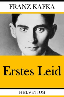 Franz Kafka Erstes Leid обложка книги