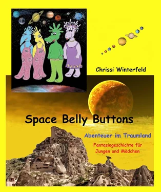Chrissi Winterfeld Space Belly Buttons обложка книги