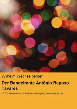 Wilhelm Wechselberger Der Bandeirante Antônio Raposo Tavares обложка книги