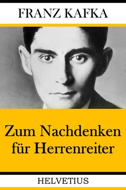 Franz Kafka Zum Nachdenken für Herrenreiter обложка книги