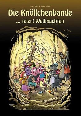 Erika Bock Das Knöllchenbande ...feiert Weihnachten обложка книги
