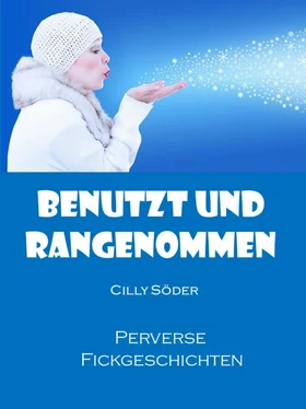 Cilly Söder Benutzt und rangenommen обложка книги