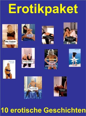 Josefine Spahn Erotikpaket: 10 erotische Geschichten обложка книги