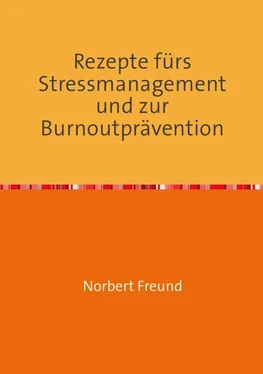 Norbert Freund Rezepte für Stressmanagement und zur Burnoutprävention обложка книги