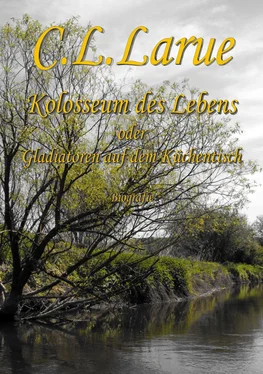 C. L. Larue Kolosseum des Lebens обложка книги