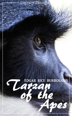 Edgar Burroughs Tarzan of the Apes (Edgar Rice Burroughs) (Literary Thoughts Edition) обложка книги