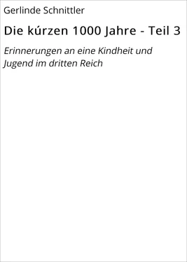 Gerlinde Schnittler Die kúrzen 1000 Jahre - Teil 3 обложка книги