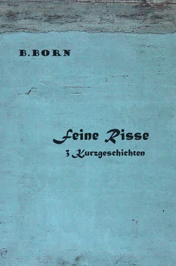 B. Born Feine Risse обложка книги