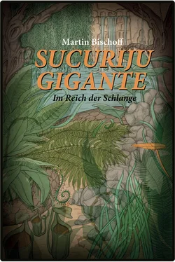 Martin Bischoff Sucuriju Gigante обложка книги