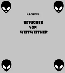 Harald Winter - Besucher von Weitweither