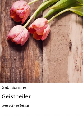 Gabi Sommer Geistheiler обложка книги