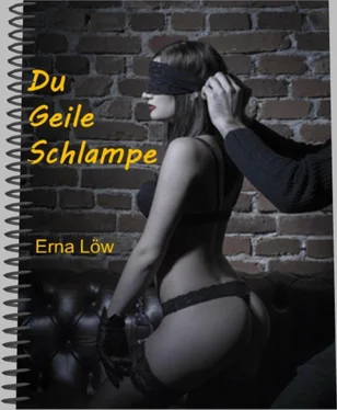 Erna Löw Du geile Schlampe - 44 Seiten обложка книги