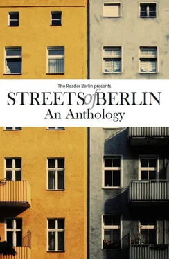 The Reader Berlin Streets of Berlin обложка книги
