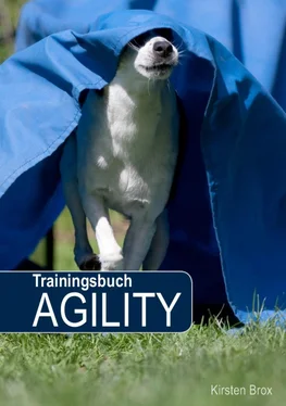 Kirsten Brox Trainingsbuch Agility обложка книги