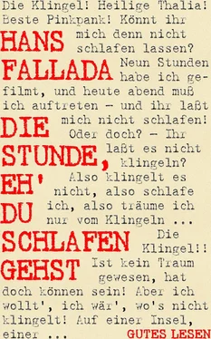 Hans Fallada Die Stunde, eh' du schlafen gehst обложка книги