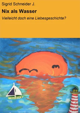 Sigrid Schneider J. Nix als Wasser обложка книги