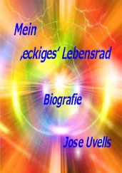Jose Uvells - Mein 'eckiges' Lebensrad