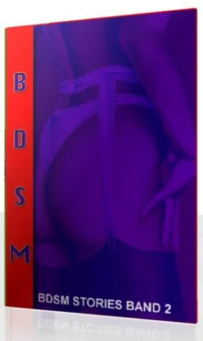 Agnes Meindl BDSM Geschichten Band 2 - 340 Seiten in 25 Abschnitten erzählt обложка книги