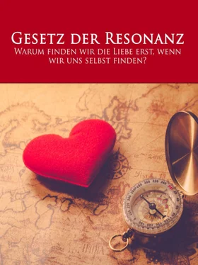 Sandra Bierstedt Das Gesetz der Resonanz обложка книги