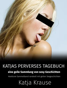 Katja Krause Katja Krause Katjas perverses Tagebuch - Eine geile Sammlung von sexy Geschichten обложка книги
