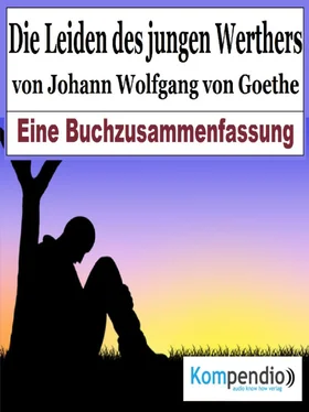 Alessandro Dallmann Die Leiden des jungen Werther von Johann Wolfgang von Goethe обложка книги