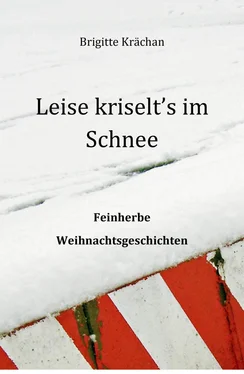 Brigitte Krächan Leise kriselt's im Schnee обложка книги