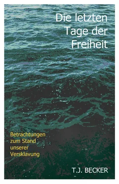 T.J. Becker Die letzten Tage der Freiheit обложка книги