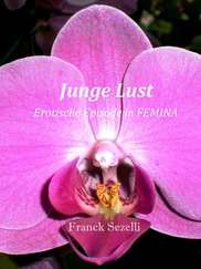 Franck Sezelli - Junge Lust