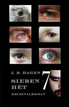 J. B. Hagen Sieben обложка книги